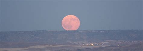 scp 4220|scp moon.